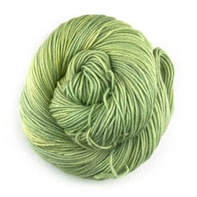 Load image into Gallery viewer, Absinthe - DK Weight